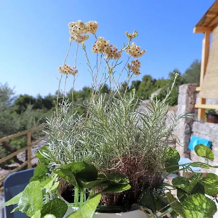 Greenside Lumi Alpesi faház Vela Luka