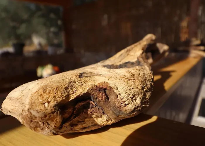 Greenside Lumi Chalet Vela Luka